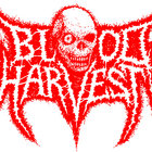 bloodharvestrecords thumbnail