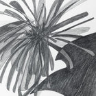 ulysses_junebug thumbnail