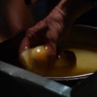 bigronniesdog thumbnail