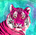 Tigre Social image