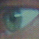 feedforward thumbnail