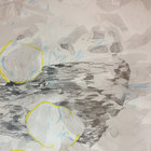 dackding thumbnail