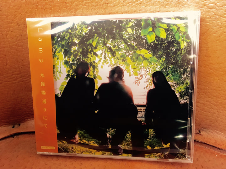 At Komorebi St. (2005) / 木洩陽通りにて | Lamp | Botanical House