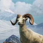 Dioramas | Andrew Chalk | An'archives