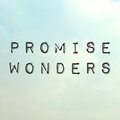 Promise Wonders image