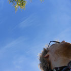 Mike thumbnail