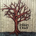 Ordinary Owl image