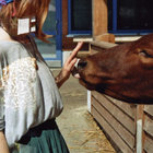 Greta Ha thumbnail