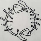 rawdeadfish thumbnail