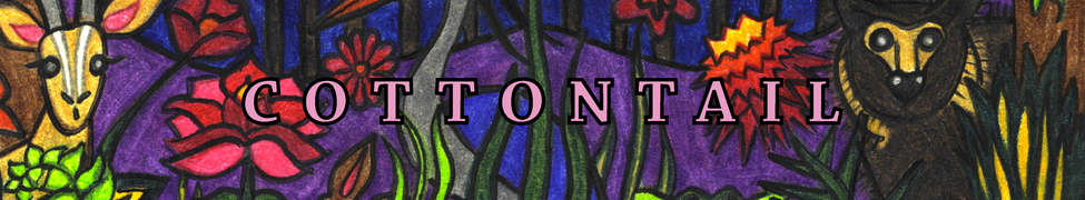 Cottontail — Photo
