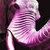 pinkelephants thumbnail