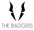 The Badgers image