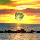 Bewhau thumbnail