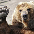 braemer thumbnail