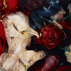 Boris Korine thumbnail
