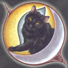 Lorena Moore thumbnail