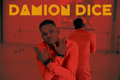 Damion Dice image