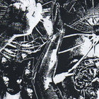 The Sound Pool | Musica Elettronica Viva | BYG Records