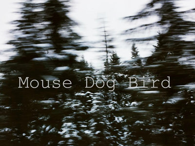 Mouse Dog Bird (Snow) Stickers main photo