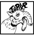 Tapir image