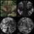 charlottedecock thumbnail