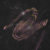 Bandcamp profile picture for @enlightenment