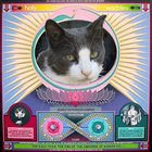 benmont_yama thumbnail
