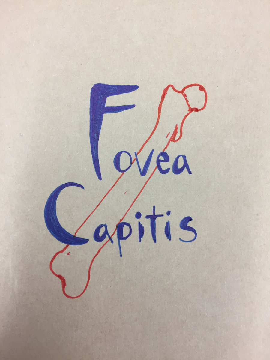 Drowseedays | Fovea Capitis