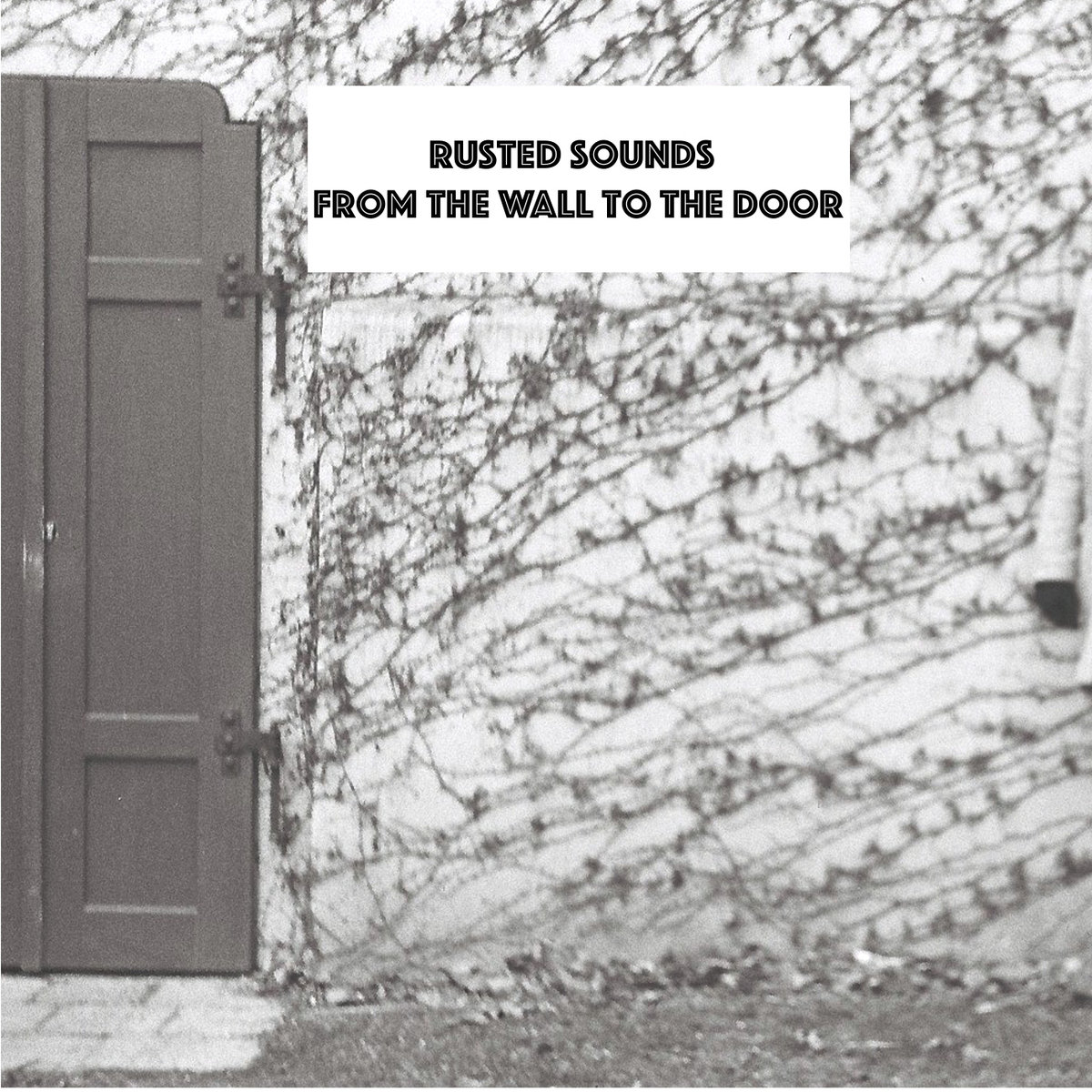 rusted from the rain mp3 download When the wind finds its voice | resonating wood recordings.