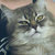 Bandcamp profile picture for @homeboy