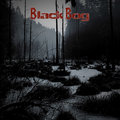 Black Bog image