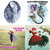 Katherine Daniels thumbnail