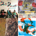 Field Studies | Quasi