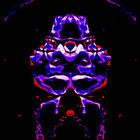 anulka thumbnail