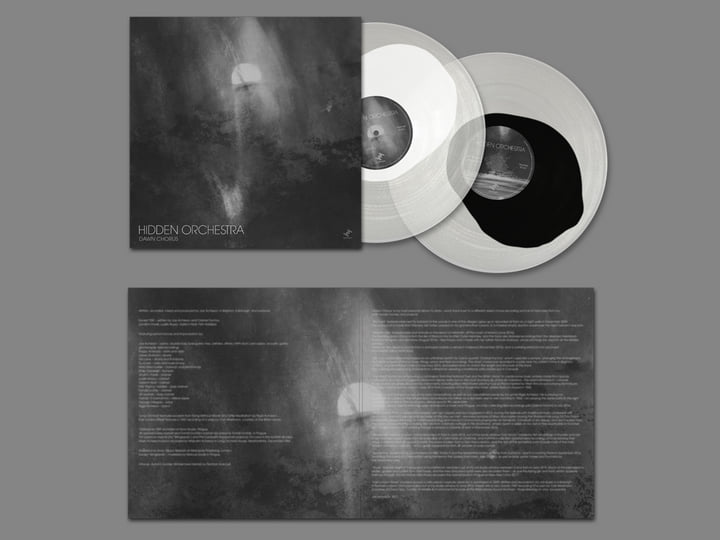Dawn Chorus | Hidden Orchestra
