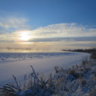 eugeneh thumbnail