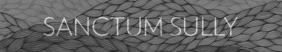 Sanctum Sully — Photo