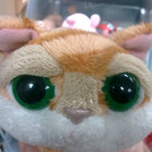 whatupwidat thumbnail