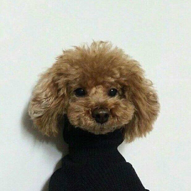 mom666's collection | Bandcamp