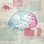 Stream Palette 4 | Diverse System