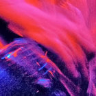 Washerfluid45 thumbnail