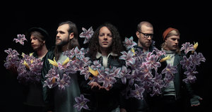 A Lot Like Birds