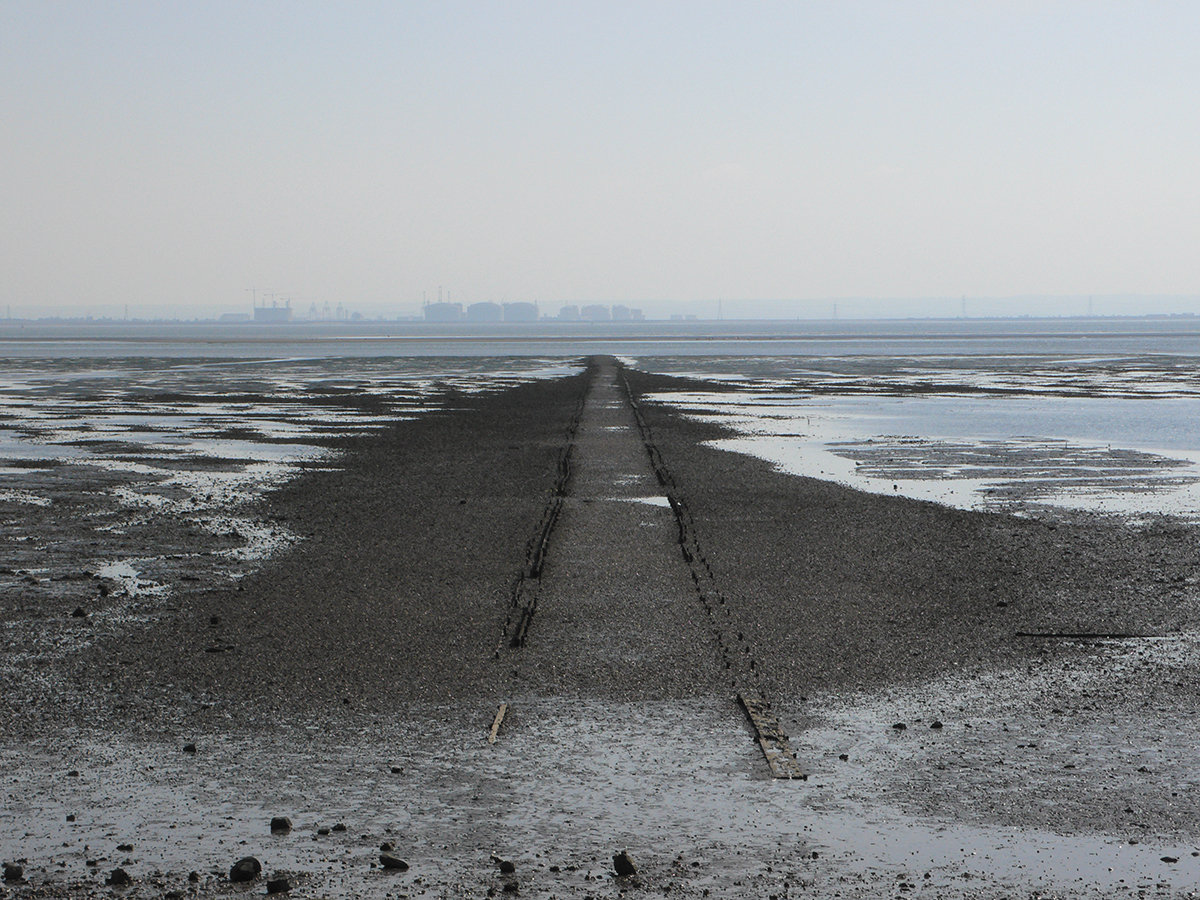 Venice 20 | Fennesz
