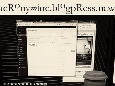 acronyminc.blogpress.new (zine) main photo