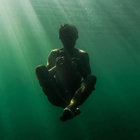 Bodhi thumbnail