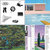 tombatchelor1 thumbnail