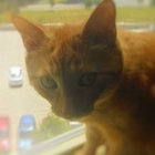 ~V~ thumbnail