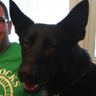 Andy K. thumbnail
