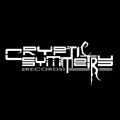 Cryptic Symmetry Records image