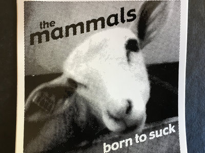 The Mammals "Born to Suck" sticker main photo